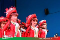 Haetzfelder-Kinderfasching-007