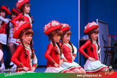 Haetzfelder-Kinderfasching-008
