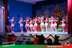 Haetzfelder-Kinderfasching-009