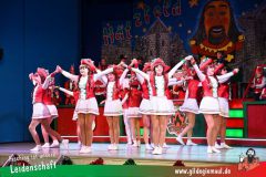 Haetzfelder-Kinderfasching-017