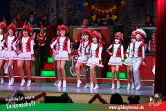 Haetzfelder-Kinderfasching-022