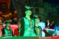 Haetzfelder-Kinderfasching-128