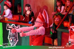 Haetzfelder-Kinderfasching-085
