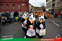 Kinderfaschingszug-Wuerzburg-015