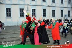 Kinderfaschingszug-Wuerzburg-051