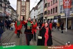 Kinderfaschingszug-Wuerzburg-067