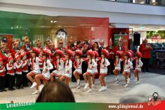 XXXL_Narrenshow_Neubert-013