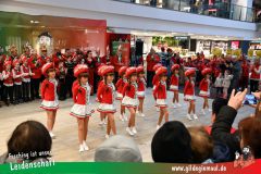 XXXL_Narrenshow_Neubert-015
