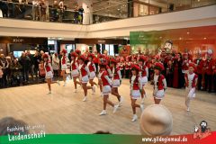 XXXL_Narrenshow_Neubert-020