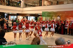 XXXL_Narrenshow_Neubert-022
