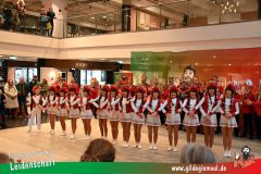 XXXL_Narrenshow_Neubert-023