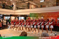 XXXL_Narrenshow_Neubert-024