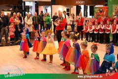 XXXL_Narrenshow_Neubert-036