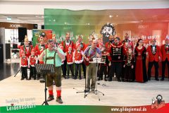XXXL_Narrenshow_Neubert-043