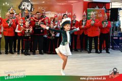 XXXL_Narrenshow_Neubert-056