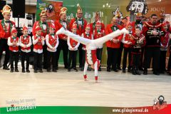XXXL_Narrenshow_Neubert-061