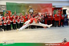 XXXL_Narrenshow_Neubert-064