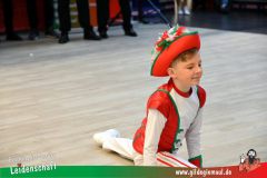 XXXL_Narrenshow_Neubert-065