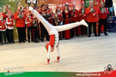XXXL_Narrenshow_Neubert-067