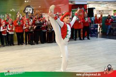 XXXL_Narrenshow_Neubert-069