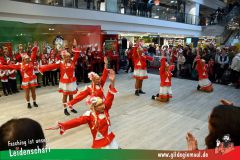 XXXL_Narrenshow_Neubert-072