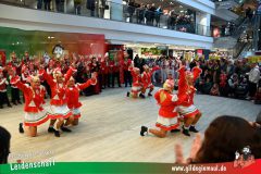 XXXL_Narrenshow_Neubert-081