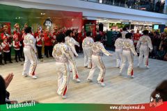 XXXL_Narrenshow_Neubert-084