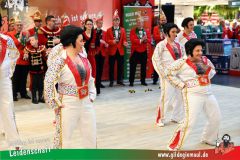 XXXL_Narrenshow_Neubert-085