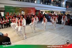 XXXL_Narrenshow_Neubert-089