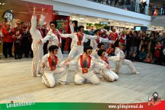 XXXL_Narrenshow_Neubert-091