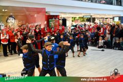 XXXL_Narrenshow_Neubert-096