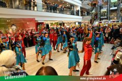 XXXL_Narrenshow_Neubert-123
