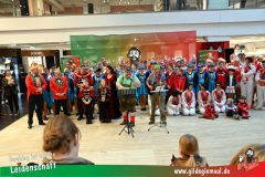 XXXL_Narrenshow_Neubert-127
