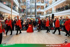 Narrenshow-XXXLutz-Neubert-004