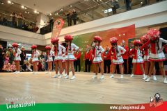 Narrenshow-XXXLutz-Neubert-012