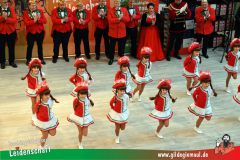 Narrenshow-XXXLutz-Neubert-016