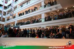 Narrenshow-XXXLutz-Neubert-046