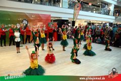 Narrenshow-XXXLutz-Neubert-156