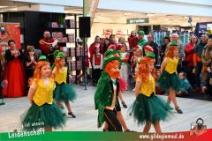 Narrenshow-XXXLutz-Neubert-158