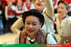 Narrenshow-XXXLutz-Neubert-174