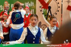 Narrenshow-XXXLutz-Neubert-177