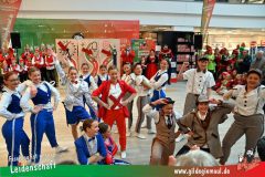 Narrenshow-XXXLutz-Neubert-191