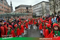 Wuerzburger-Faschingszug-040