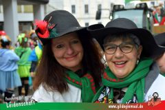 Wuerzburger-Faschingszug-061