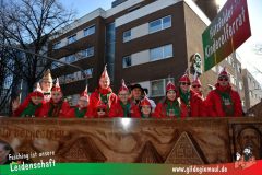 Wuerzburger-Faschingszug-005