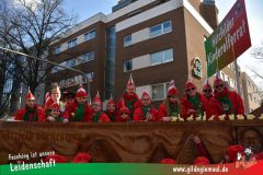Wuerzburger-Faschingszug-021
