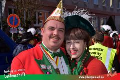Wuerzburger-Faschingszug-031