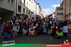 Wuerzburger-Faschingszug-032