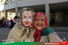 Wuerzburger-Faschingszug-033