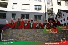 Wuerzburger-Faschingszug-034